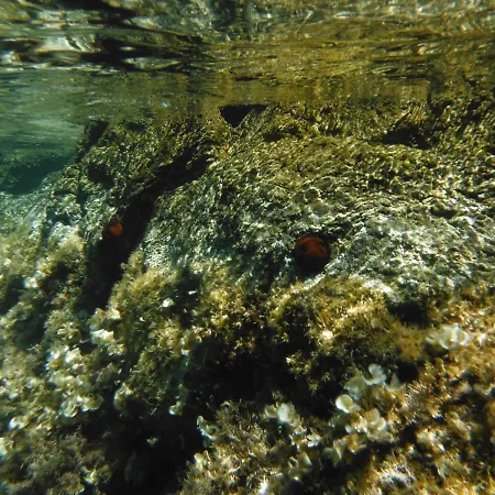 Trilocale Lacona Isola D'elba